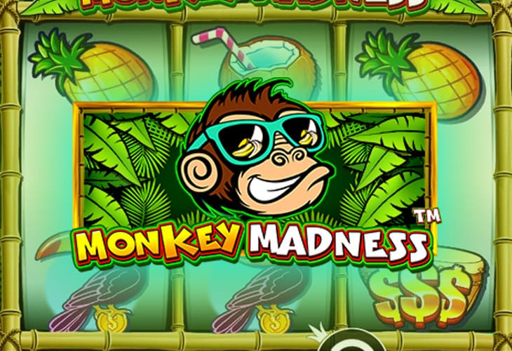 Monkey Madness - Pragmatic Play slot at Ice Kasyno Polska Casino